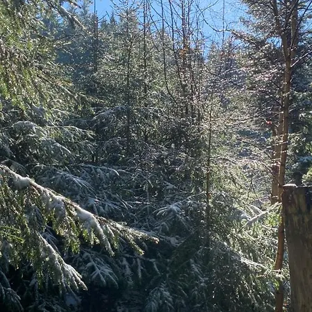 Wohlfuehl-apartment Appartement Ettlingen